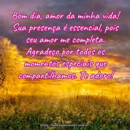 Bom dia, amor da minha vida! Sua presença é essencial, pois seu amor me completa. Agradeço por todos os momentos especiais que compartilhamos. Te adoro!