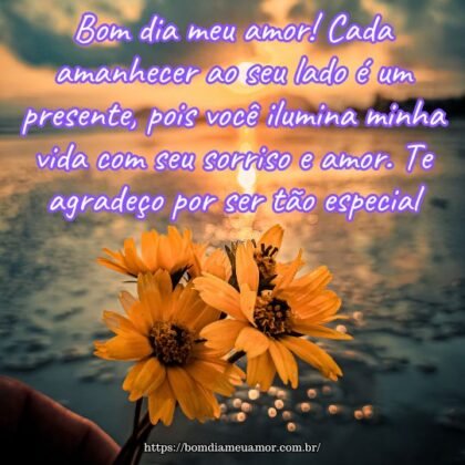 Bom dia meu amor! Cada amanhecer ao seu lado é um presente, pois você ilumina minha vida com seu sorriso e amor. Te agradeço por ser tão especial. Bom dia meu amor! Cada amanhecer ao seu lado é um presente, pois você ilumina minha vida com seu sorriso e amor. Te agradeço por ser tão especial.