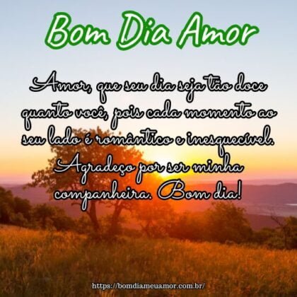 Amor, que seu dia seja tão doce quanto você, pois cada momento ao seu lado é romântico e inesquecível. Agradeço por ser minha companheira. Bom dia! Amor, que seu dia seja tão doce quanto você, pois cada momento ao seu lado é romântico e inesquecível. Agradeço por ser minha companheira. Bom dia!