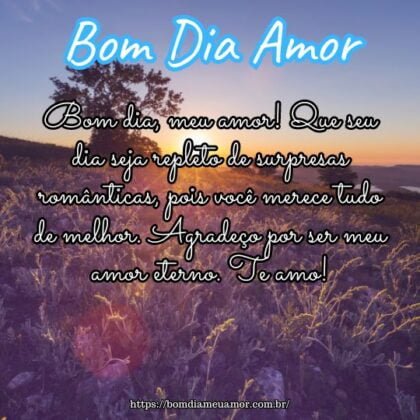 Bom dia, meu amor! Que seu dia seja repleto de surpresas românticas, pois você merece tudo de melhor. Agradeço por ser meu amor eterno. Te amo! Bom dia, meu amor! Que seu dia seja repleto de surpresas românticas, pois você merece tudo de melhor. Agradeço por ser meu amor eterno. Te amo!