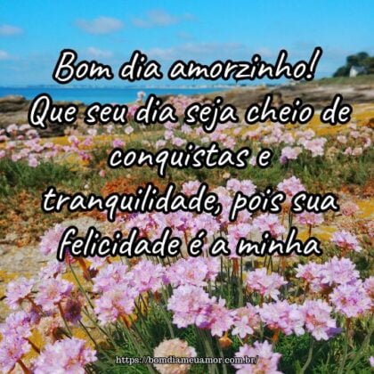 Bom dia amorzinho! Que seu dia seja cheio de conquistas e tranquilidade, pois sua felicidade é a minha. Bom dia amorzinho! Que seu dia seja cheio de conquistas e tranquilidade, pois sua felicidade é a minha.