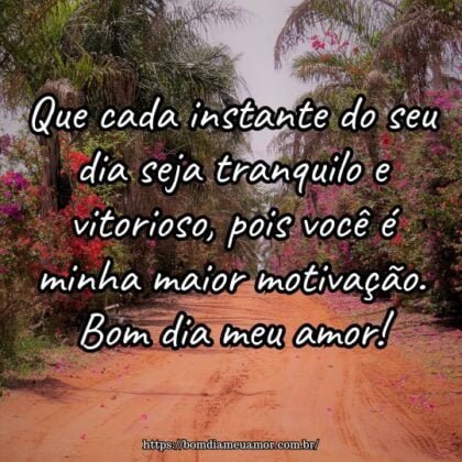 Que cada instante do seu dia seja tranquilo e vitorioso, pois você é minha maior motivação. Bom dia meu amor! Que cada instante do seu dia seja tranquilo e vitorioso, pois você é minha maior motivação. Bom dia meu amor!
