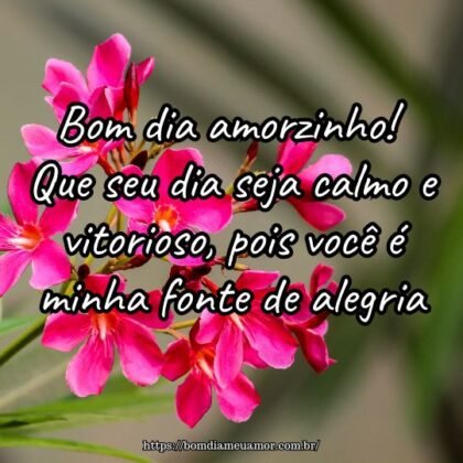 Bom dia amorzinho! Que seu dia seja calmo e vitorioso, pois você é minha fonte de alegria. Bom dia amorzinho! Que seu dia seja calmo e vitorioso, pois você é minha fonte de alegria.