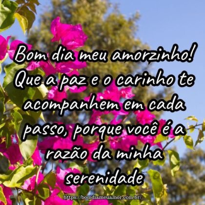 Bom dia meu amorzinho! Que a paz e o carinho te acompanhem em cada passo, porque você é a razão da minha serenidade. Bom dia meu amorzinho! Que a paz e o carinho te acompanhem em cada passo, porque você é a razão da minha serenidade.