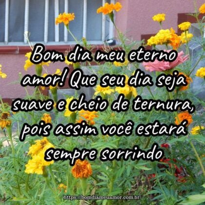 Bom dia meu eterno amor! Que seu dia seja suave e cheio de ternura, pois assim você estará sempre sorrindo. Bom dia meu eterno amor! Que seu dia seja suave e cheio de ternura, pois assim você estará sempre sorrindo.