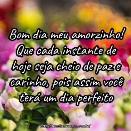 Bom dia meu amorzinho! Que cada instante de hoje seja cheio de paz e carinho, pois assim você terá um dia perfeito. Bom dia meu amorzinho! Que cada instante de hoje seja cheio de paz e carinho, pois assim você terá um dia perfeito.
