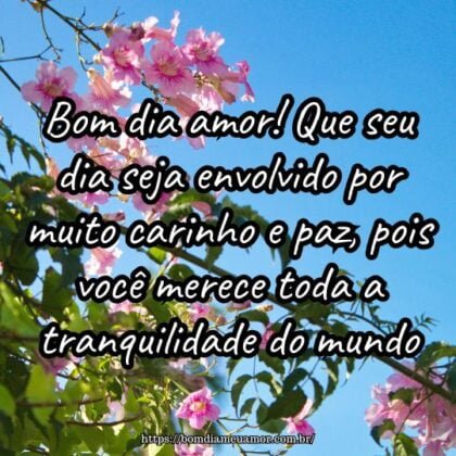 Bom dia amor! Que seu dia seja envolvido por muito carinho e paz, pois você merece toda a tranquilidade do mundo. Bom dia amor! Que seu dia seja envolvido por muito carinho e paz, pois você merece toda a tranquilidade do mundo.