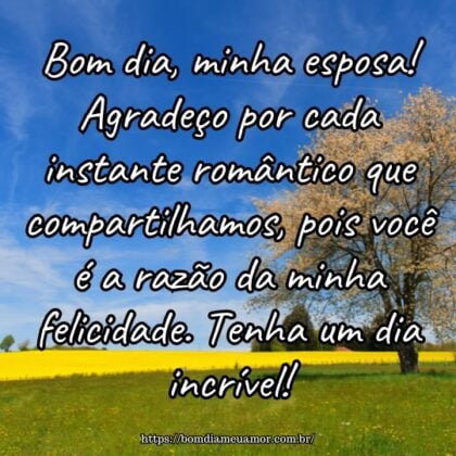 Bom dia, minha esposa! Agradeço por cada instante romântico que compartilhamos, pois você é a razão da minha felicidade. Tenha um dia incrível! Bom dia, minha esposa! Agradeço por cada instante romântico que compartilhamos, pois você é a razão da minha felicidade. Tenha um dia incrível!