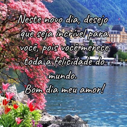 Neste novo dia, desejo que seja incrível para você, pois você merece toda a felicidade do mundo. Bom dia meu amor! Neste novo dia, desejo que seja incrível para você, pois você merece toda a felicidade do mundo. Bom dia meu amor!