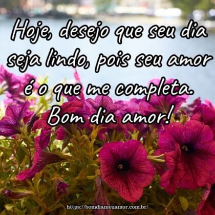 Hoje, desejo que seu dia seja lindo, pois seu amor é o que me completa. Bom dia amor! Hoje, desejo que seu dia seja lindo, pois seu amor é o que me completa. Bom dia amor!
