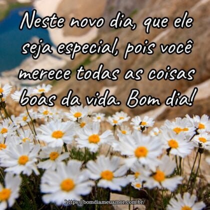 Neste novo dia, que ele seja especial, pois você merece todas as coisas boas da vida. Bom dia! Neste novo dia, que ele seja especial, pois você merece todas as coisas boas da vida. Bom dia!