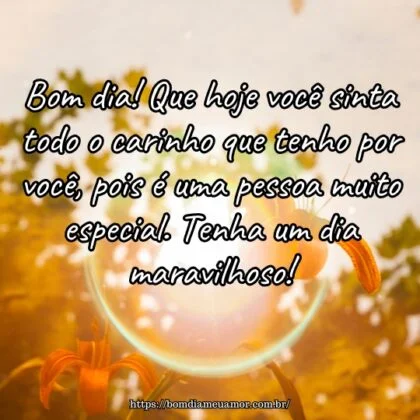 Bom dia! Que hoje você sinta todo o carinho que tenho por você, pois é uma pessoa muito especial. Tenha um dia maravilhoso! Bom dia! Que hoje você sinta todo o carinho que tenho por você, pois é uma pessoa muito especial. Tenha um dia maravilhoso!