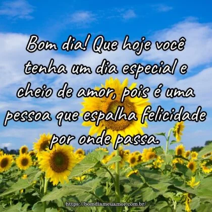 Bom dia! Que hoje você tenha um dia especial e cheio de amor, pois é uma pessoa que espalha felicidade por onde passa. Bom dia! Que hoje você tenha um dia especial e cheio de amor, pois é uma pessoa que espalha felicidade por onde passa.