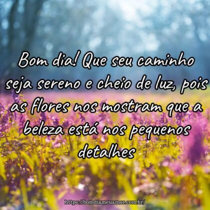 Bom dia! Que seu caminho seja sereno e cheio de luz, pois as flores nos mostram que a beleza está nos pequenos detalhes. Bom dia! Que seu caminho seja sereno e cheio de luz, pois as flores nos mostram que a beleza está nos pequenos detalhes.