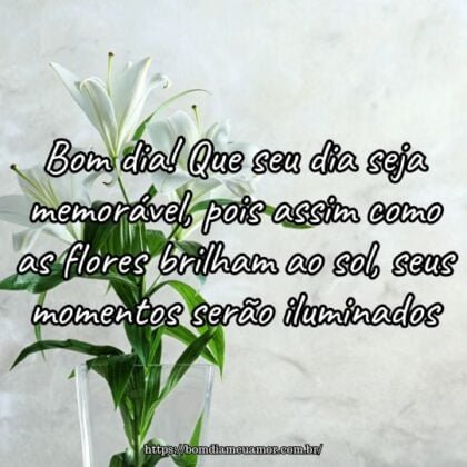 Bom dia! Que seu dia seja memorável, pois assim como as flores brilham ao sol, seus momentos serão iluminados. Bom dia! Que seu dia seja memorável, pois assim como as flores brilham ao sol, seus momentos serão iluminados.
