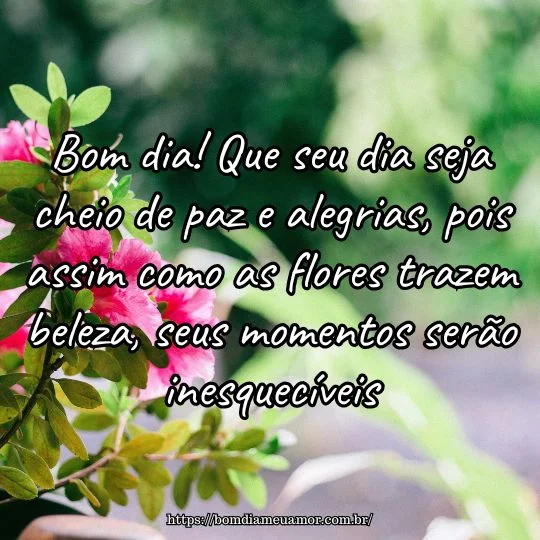 Mensagem de bom dia para whatsapp com flores lindas