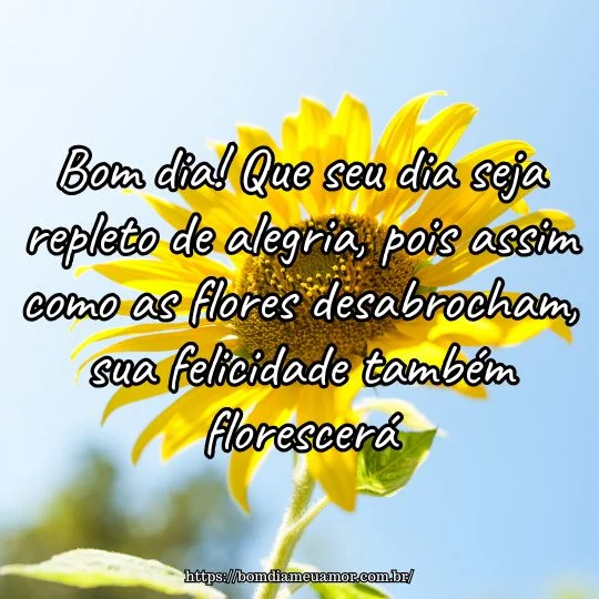 Mensagens de bom dia com flores