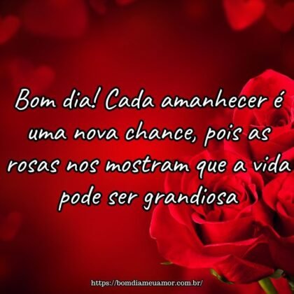 Bom dia! Cada amanhecer é uma nova chance, pois as rosas nos mostram que a vida pode ser grandiosa. Bom dia! Cada amanhecer é uma nova chance, pois as rosas nos mostram que a vida pode ser grandiosa.