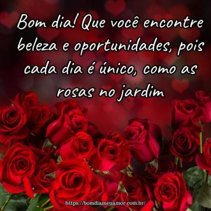 Bom dia! Que você encontre beleza e oportunidades, pois cada dia é único, como as rosas no jardim. Bom dia! Que você encontre beleza e oportunidades, pois cada dia é único, como as rosas no jardim.