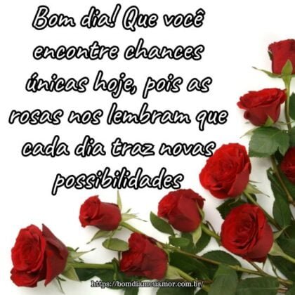 Bom dia! Que você encontre chances únicas hoje, pois as rosas nos lembram que cada dia traz novas possibilidades. Bom dia! Que você encontre chances únicas hoje, pois as rosas nos lembram que cada dia traz novas possibilidades.
