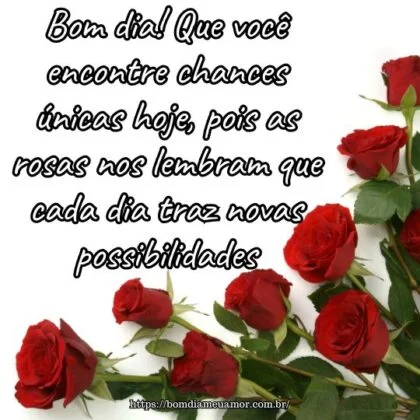 Bom dia! Que você encontre chances únicas hoje, pois as rosas nos lembram que cada dia traz novas possibilidades. Bom dia! Que você encontre chances únicas hoje, pois as rosas nos lembram que cada dia traz novas possibilidades.