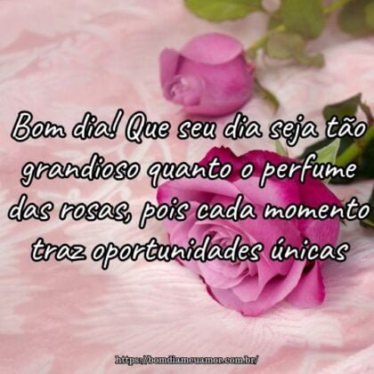 Bom dia! Que seu dia seja tão grandioso quanto o perfume das rosas, pois cada momento traz oportunidades únicas. Bom dia! Que seu dia seja tão grandioso quanto o perfume das rosas, pois cada momento traz oportunidades únicas.