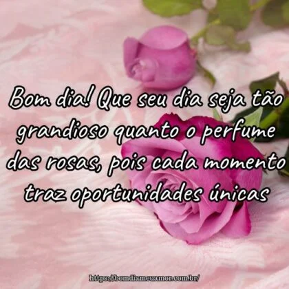 Bom dia! Que seu dia seja tão grandioso quanto o perfume das rosas, pois cada momento traz oportunidades únicas. Bom dia! Que seu dia seja tão grandioso quanto o perfume das rosas, pois cada momento traz oportunidades únicas.