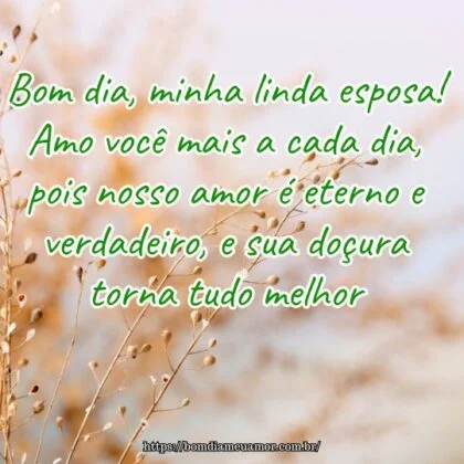 Bom dia, minha linda esposa! Amo você mais a cada dia, pois nosso amor é eterno e verdadeiro, e sua doçura torna tudo melhor.