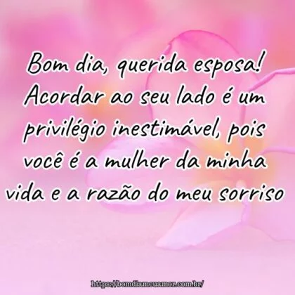 Bom dia, querida esposa! Acordar ao seu lado é um privilégio inestimável, pois você é a mulher da minha vida e a razão do meu sorriso.