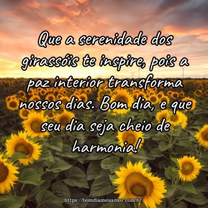 Que a serenidade dos girassóis te inspire, pois a paz interior transforma nossos dias. Bom dia, e que seu dia seja cheio de harmonia! Que a serenidade dos girassóis te inspire, pois a paz interior transforma nossos dias. Bom dia, e que seu dia seja cheio de harmonia!