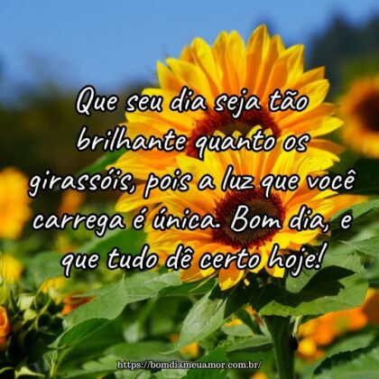 Que seu dia seja tão brilhante quanto os girassóis, pois a luz que você carrega é única. Bom dia, e que tudo dê certo hoje! Que seu dia seja tão brilhante quanto os girassóis, pois a luz que você carrega é única. Bom dia, e que tudo dê certo hoje!