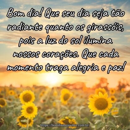 Bom dia! Que seu dia seja tão radiante quanto os girassóis, pois a luz do sol ilumina nossos corações. Que cada momento traga alegria e paz! Bom dia! Que seu dia seja tão radiante quanto os girassóis, pois a luz do sol ilumina nossos corações. Que cada momento traga alegria e paz!