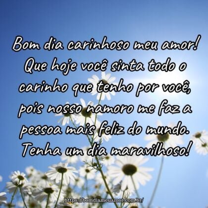 Bom dia carinhoso meu amor! Que hoje você sinta todo o carinho que tenho por você, pois nosso namoro me faz a pessoa mais feliz do mundo. Tenha um dia maravilhoso! Bom dia carinhoso meu amor! Que hoje você sinta todo o carinho que tenho por você, pois nosso namoro me faz a pessoa mais feliz do mundo. Tenha um dia maravilhoso!