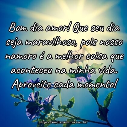 Bom dia amor! Que seu dia seja maravilhoso, pois nosso namoro é a melhor coisa que aconteceu na minha vida. Aproveite cada momento! Bom dia amor! Que seu dia seja maravilhoso, pois nosso namoro é a melhor coisa que aconteceu na minha vida. Aproveite cada momento!
