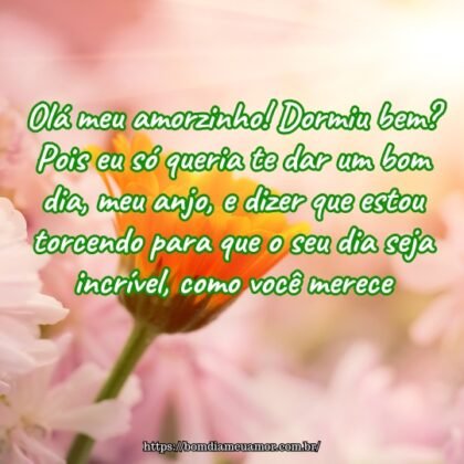 Olá meu amorzinho! Dormiu bem? Pois eu só queria te dar um bom dia, meu anjo, e dizer que estou torcendo para que o seu dia seja incrível, como você merece.