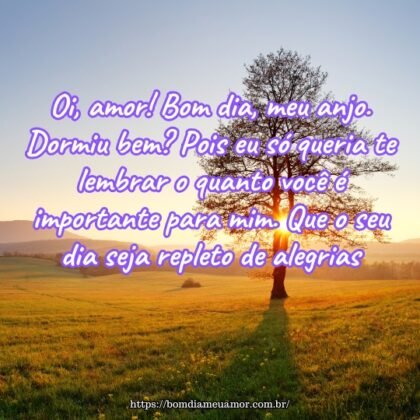 Oi, amor! Bom dia, meu anjo. Dormiu bem? Pois eu só queria te lembrar o quanto você é importante para mim. Que o seu dia seja repleto de alegrias.