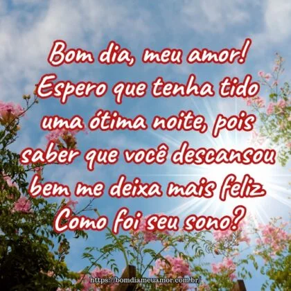 Bom dia, meu amor! Espero que tenha tido uma ótima noite, pois saber que você descansou bem me deixa mais feliz. Como foi seu sono? Bom dia, meu amor! Espero que tenha tido uma ótima noite, pois saber que você descansou bem me deixa mais feliz. Como foi seu sono?