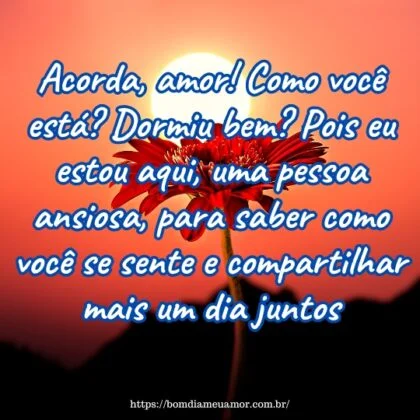 Acorda, amor! Como você está? Dormiu bem? Pois eu estou aqui, uma pessoa ansiosa, para saber como você se sente e compartilhar mais um dia juntos. Acorda, amor! Como você está? Dormiu bem? Pois eu estou aqui, uma pessoa ansiosa, para saber como você se sente e compartilhar mais um dia juntos.