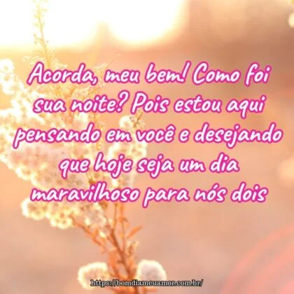 Acorda, meu bem! Como foi sua noite? Pois estou aqui pensando em você e desejando que hoje seja um dia maravilhoso para nós dois. Acorda, meu bem! Como foi sua noite? Pois estou aqui pensando em você e desejando que hoje seja um dia maravilhoso para nós dois.