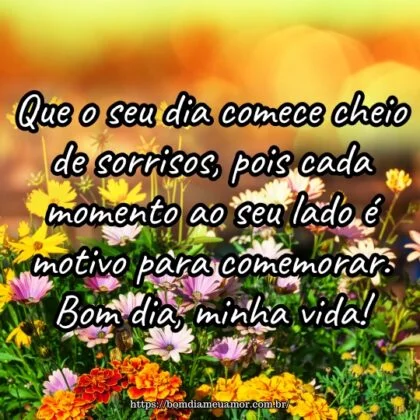 Que o seu dia comece cheio de sorrisos, pois cada momento ao seu lado é motivo para comemorar. Bom dia, minha vida!