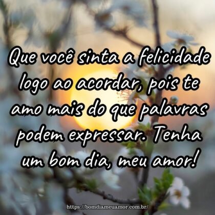 Que você sinta a felicidade logo ao acordar, pois te amo mais do que palavras podem expressar. Tenha um bom dia, meu amor! Que você sinta a felicidade logo ao acordar, pois te amo mais do que palavras podem expressar. Tenha um bom dia, meu amor!