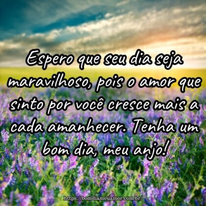 Espero que seu dia seja maravilhoso, pois o amor que sinto por você cresce mais a cada amanhecer. Tenha um bom dia, meu anjo! Espero que seu dia seja maravilhoso, pois o amor que sinto por você cresce mais a cada amanhecer. Tenha um bom dia, meu anjo!