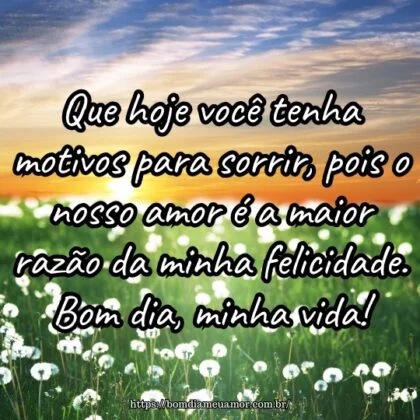 Que hoje você tenha motivos para sorrir, pois o nosso amor é a maior razão da minha felicidade. Bom dia, minha vida!
