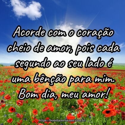 Acorde com o coração cheio de amor, pois cada segundo ao seu lado é uma bênção para mim. Bom dia, meu amor! Acorde com o coração cheio de amor, pois cada segundo ao seu lado é uma bênção para mim. Bom dia, meu amor!