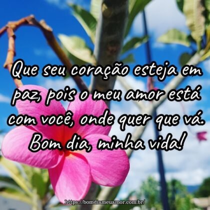 Que seu coração esteja em paz, pois o meu amor está com você, onde quer que vá. Bom dia, minha vida! Que seu coração esteja em paz, pois o meu amor está com você, onde quer que vá. Bom dia, minha vida!