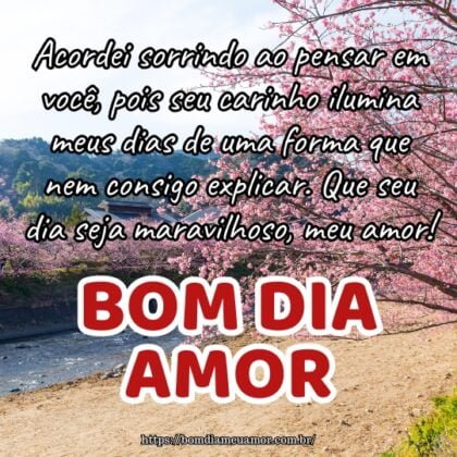 Acordei sorrindo ao pensar em você, pois seu carinho ilumina meus dias de uma forma que nem consigo explicar. Que seu dia seja maravilhoso, meu amor! Acordei sorrindo ao pensar em você, pois seu carinho ilumina meus dias de uma forma que nem consigo explicar. Que seu dia seja maravilhoso, meu amor!
