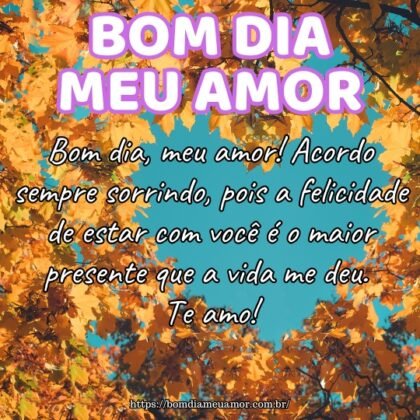 Bom dia, meu amor! Acordo sempre sorrindo, pois a felicidade de estar com você é o maior presente que a vida me deu. Te amo! Bom dia, meu amor! Acordo sempre sorrindo, pois a felicidade de estar com você é o maior presente que a vida me deu. Te amo!