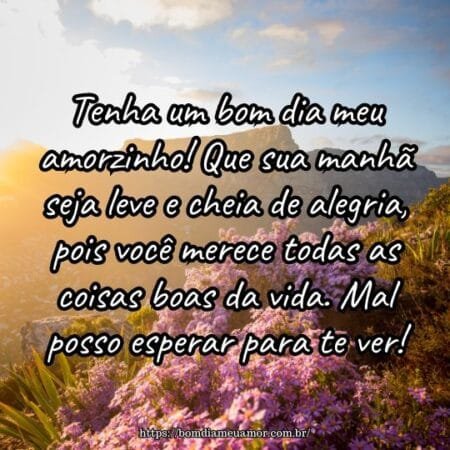 Tenha um bom dia meu amorzinho! Que sua manhã seja leve e cheia de alegria, pois você merece todas as coisas boas da vida. Mal posso esperar para te ver! Tenha um bom dia meu amorzinho! Que sua manhã seja leve e cheia de alegria, pois você merece todas as coisas boas da vida. Mal posso esperar para te ver!