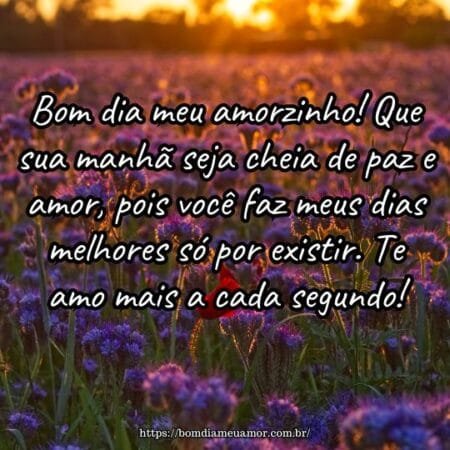 Bom dia meu amorzinho! Que sua manhã seja cheia de paz e amor, pois você faz meus dias melhores só por existir. Te amo mais a cada segundo! Bom dia meu amorzinho! Que sua manhã seja cheia de paz e amor, pois você faz meus dias melhores só por existir. Te amo mais a cada segundo!