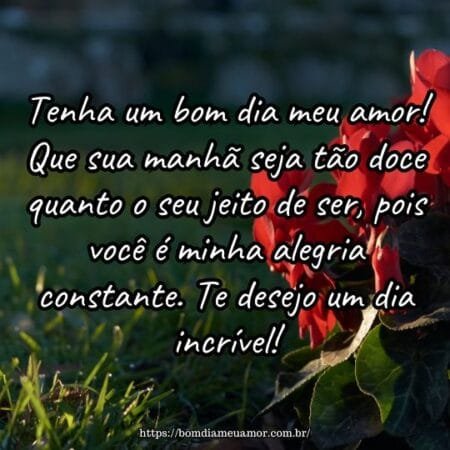 Tenha um bom dia meu amor! Que sua manhã seja tão doce quanto o seu jeito de ser, pois você é minha alegria constante. Te desejo um dia incrível! Tenha um bom dia meu amor! Que sua manhã seja tão doce quanto o seu jeito de ser, pois você é minha alegria constante. Te desejo um dia incrível!